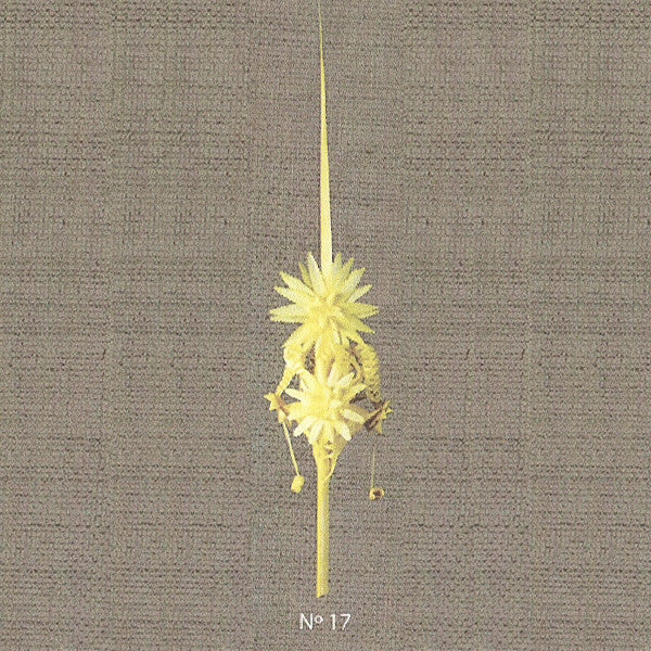 Palmas Miss Palmas Miss