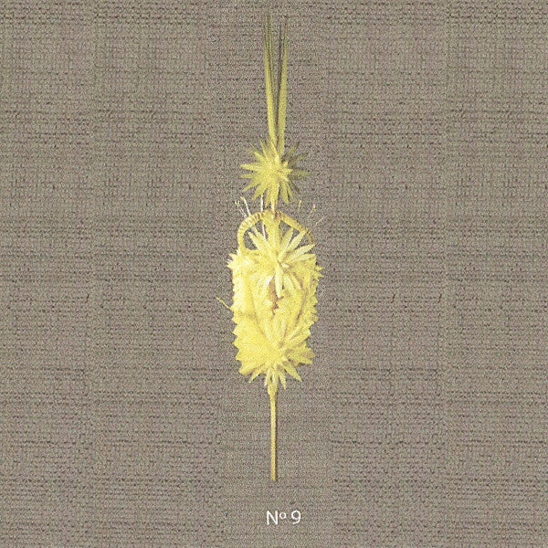 Palmas Reina Palmas Reina